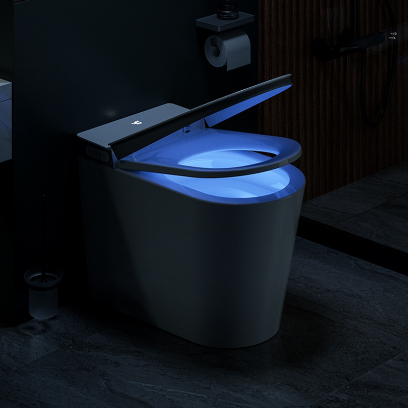 Bidé rasante automático eléctrico del WC de la taza del inodoro elegante inteligente de una pieza de cerámica del piso