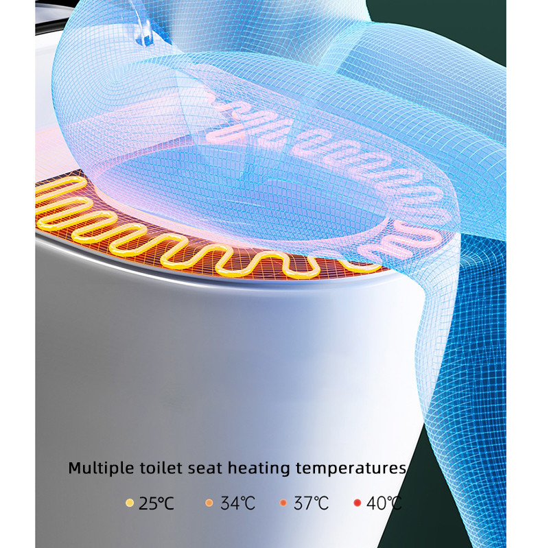 Bidé rasante automático eléctrico del WC de la taza del inodoro elegante inteligente de una pieza de cerámica del piso