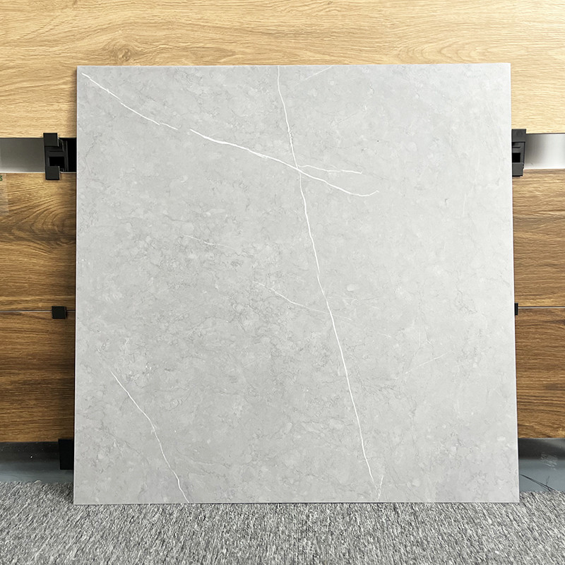 La nueva teja de la sala de estar del estilo para el piso 60x60, no desliza a Matte Porcelain Rustic Floor Tiles