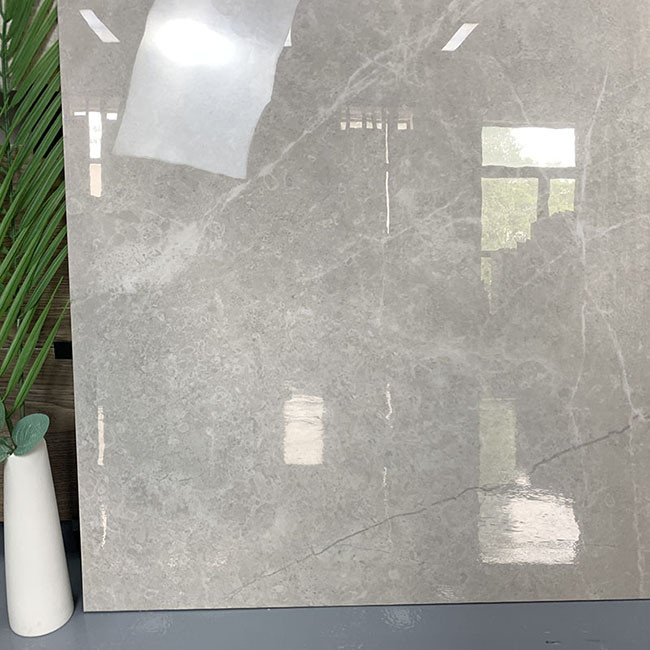 El cuerpo completo que ensuciaba anti pulió las tejas esmaltadas de la pared del suelo de la porcelana para la sala de estar