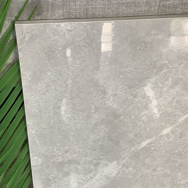 El cuerpo completo que ensuciaba anti pulió las tejas esmaltadas de la pared del suelo de la porcelana para la sala de estar
