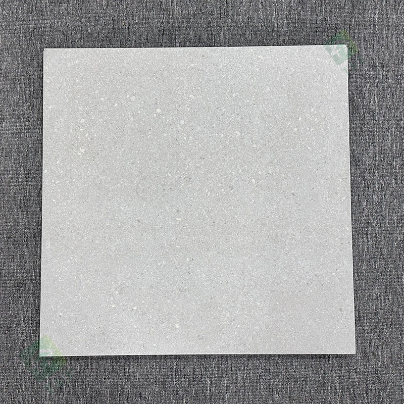el resbalón Matte Finished Exterior Garden Pavers áspero de 600*600m m no teja el piso de la porcelana