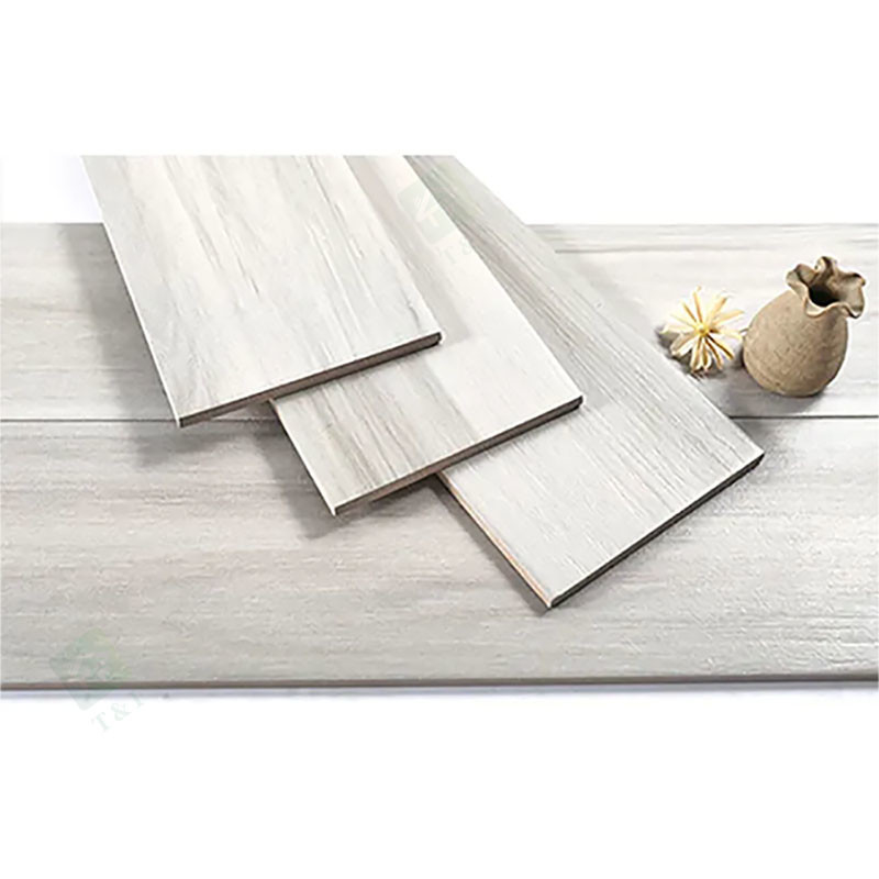 baldosas rústicas de Matte Finished Modern Porcelain Wooden del resbalón anti de 150*900m m